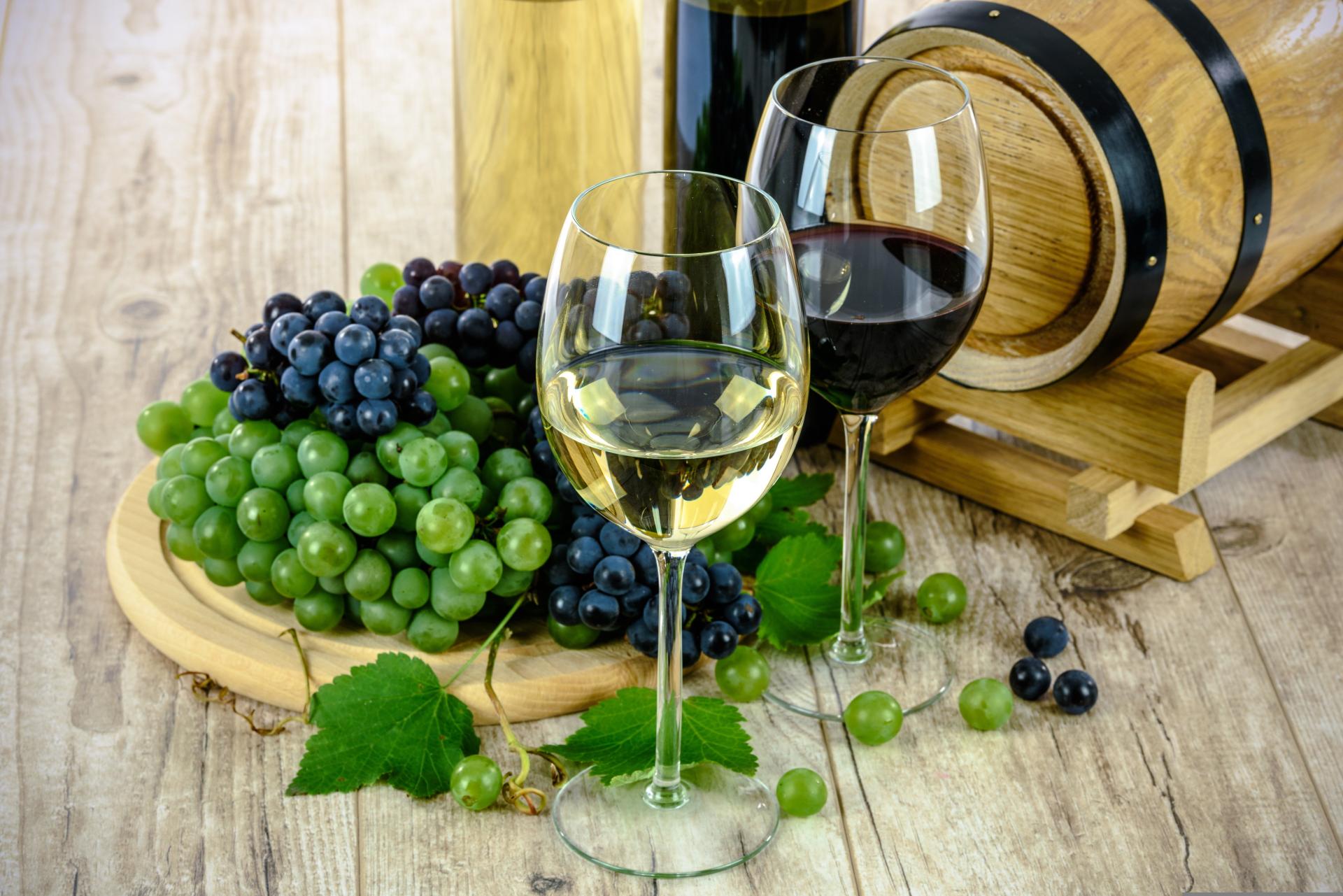As photography wines 1761613